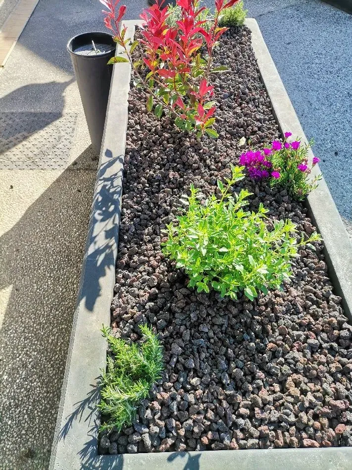 parterre de fleurs