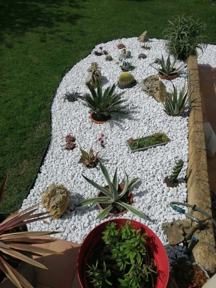 parterre concassé blancwebp