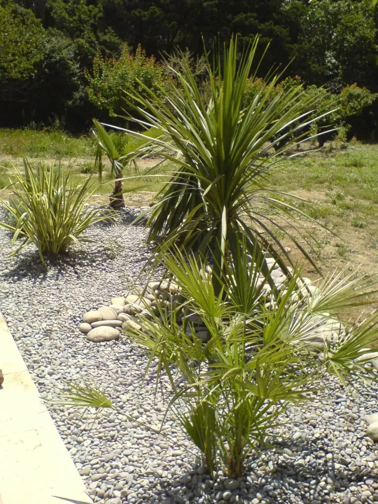 parterre concassé griswebp